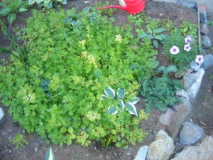 2018.07.30 ОЧИТОК от Турагентсва с хостами_ CIMG3106.JPG