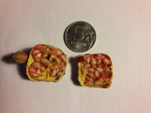 20181118_210228.jpg