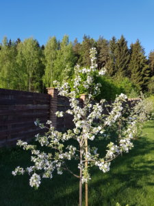 20180511_071921.jpg