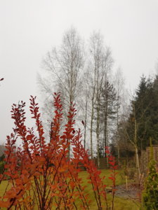 20181111_134537.jpg