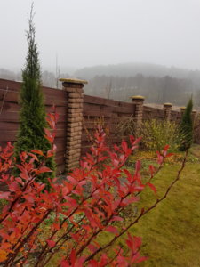 20181111_134754.jpg