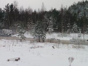 IMG_20170414_070221.jpg