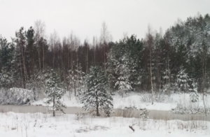 IMG_20170414_070214.jpg