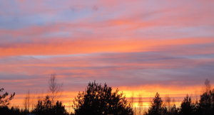 IMG_6630.JPG
