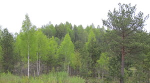 IMG_6951.JPG