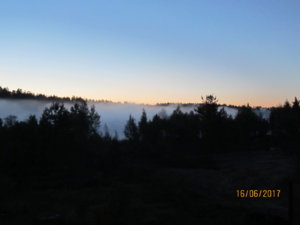 IMG_7226.JPG