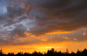 IMG_7364.JPG
