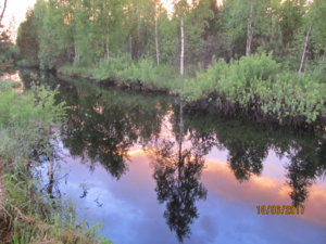 IMG_7371.JPG