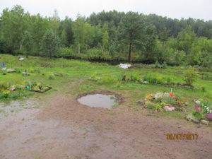 IMG_8331.JPG