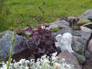DSCN5079.JPG