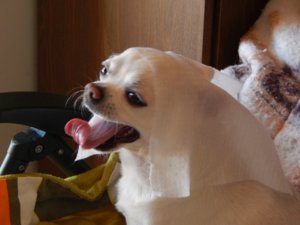 AR8qVYv5uyU.jpg