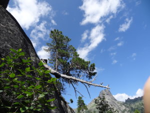 DSC05965.jpg
