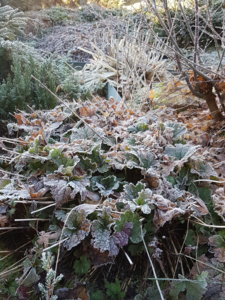 20181117_102343.jpg