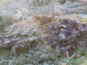20181117_102353.jpg
