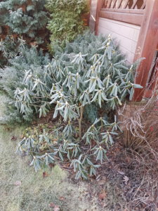 20181117_100856.jpg