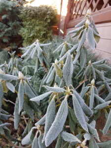 20181117_100931.jpg