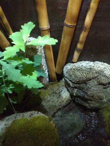 IMG_20181122_200135.jpg