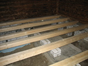 IMG_8017.jpg