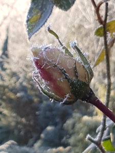 20181117_102141.jpg