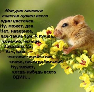 dormouse-hugging-flowers.jpg.jpg
