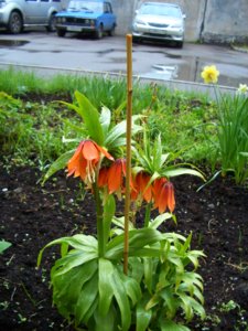 2008.06.17  в 04.55_  CIMG1631.JPG