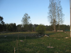 IMG_1381.JPG