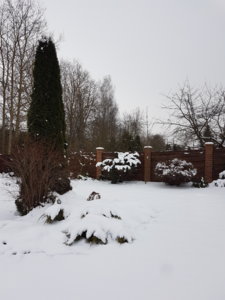 20180127_110932.jpg