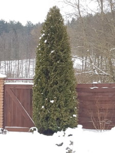 20180127_112610.jpg
