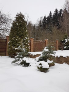20180127_113024.jpg