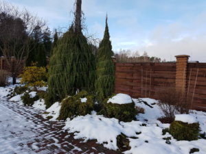 20171202_132457.jpg