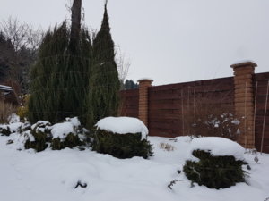 20180127_113543.jpg