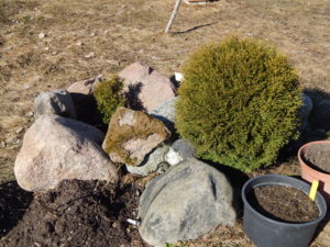 DSCN5333.JPG