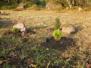 DSCN8402.JPG