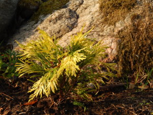 DSCN8404.JPG