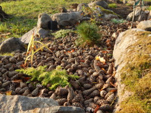 DSCN8406.JPG