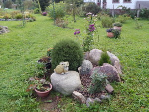 DSCN8505.JPG