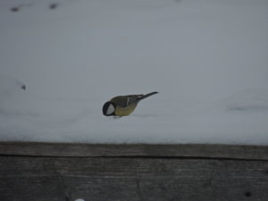DSCN0030.JPG