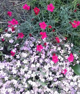 IMG_20180702_143221.jpg