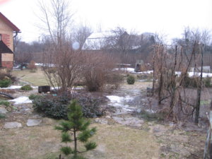 Наш сад 012.jpg