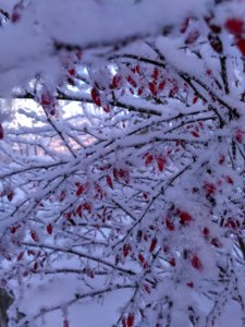 IMG_20180123_132844_HDR.jpg