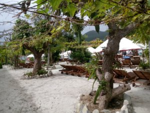 IMG-20170326-WA0015.jpg