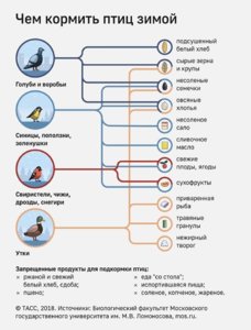 корм для птиц.jpg