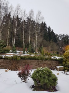 20181216_104816.jpg