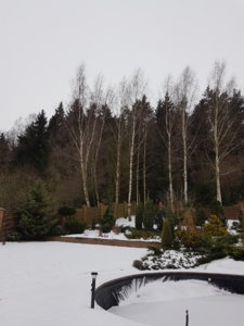 20181216_104306.jpg