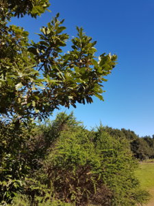20181220_115304.jpg