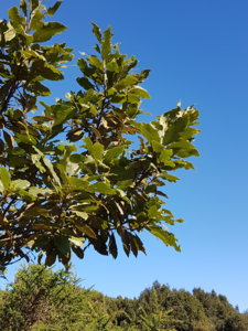 20181220_115316.jpg