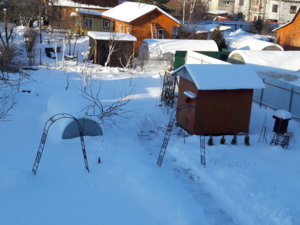 20190112_142158.jpg