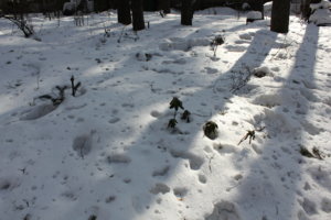 IMG_0489.JPG