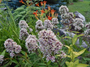 DSCN8038.JPG