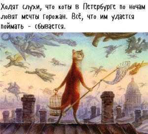 коты.jpg